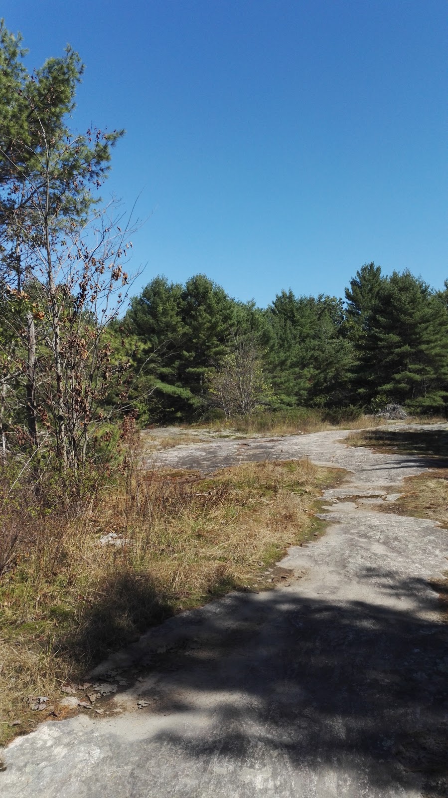 Old Stone Road Trail | 1576-, 1626 N Muldrew Lake Rd, Gravenhurst, ON P1P 1R2, Canada