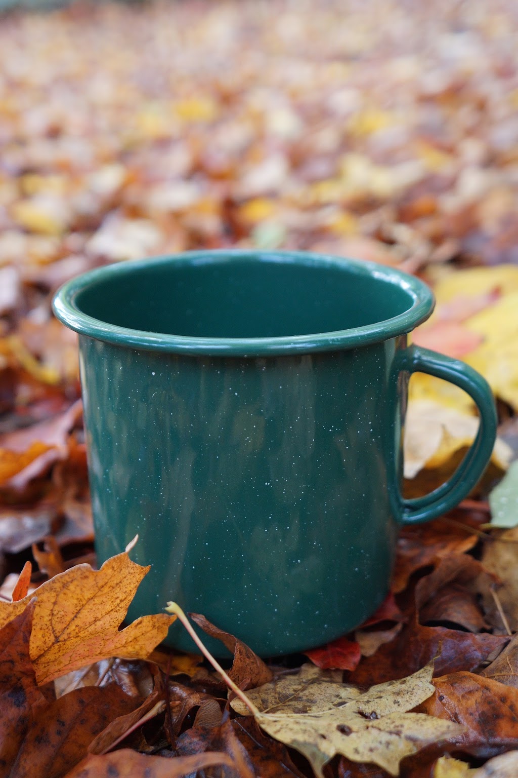 Campfire Premiums: Bulk Custom Printed Water Bottles, Travel Mug | 6091 Seneca St, Elma, NY 14059, USA | Phone: (716) 200-6967