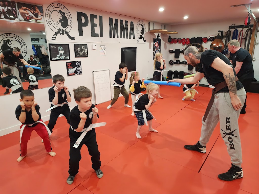 PEI Martial Arts Academy | 41 Hollis Ave, Stratford, PE C1B 2W2, Canada | Phone: (902) 213-7913