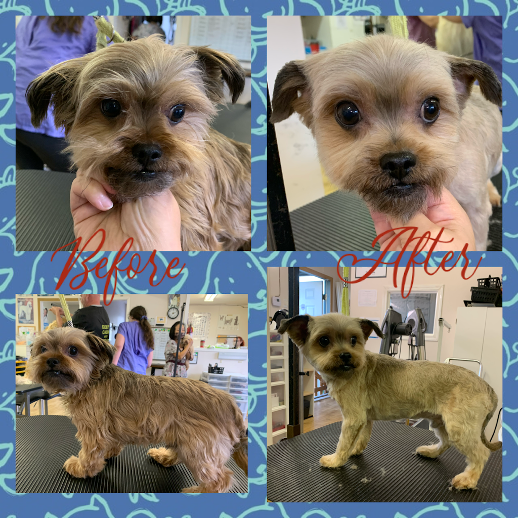 The Dogs Paw | 1423 Brunette Ave #207, Coquitlam, BC V3K 7A2, Canada | Phone: (778) 879-7694