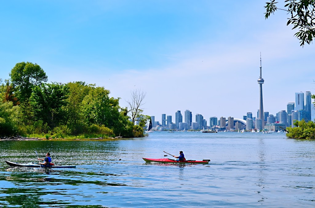 Algonquin Island Park | Algonquin Island Park, Toronto, ON M5J 2M9, Canada | Phone: (416) 338-4386