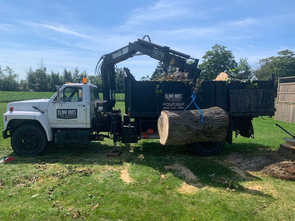 Island Roots Tree Services | 63 Ferry Rd, Cornwall, PE C0A 1H4, Canada | Phone: (902) 218-1880