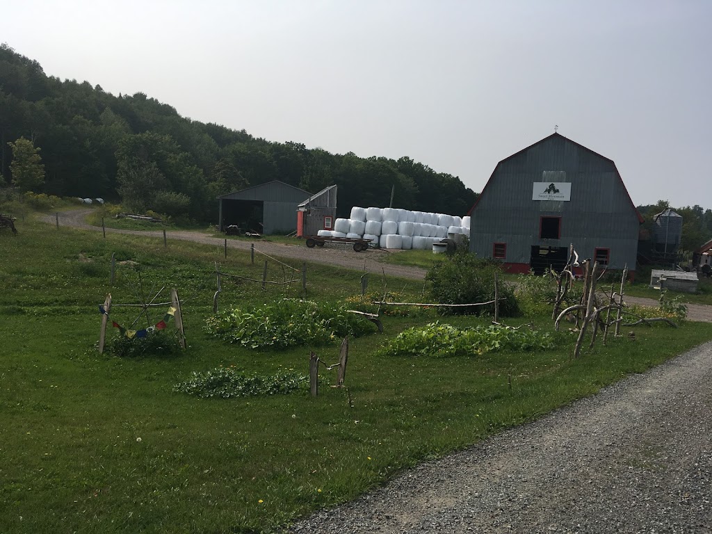 Sweet Mountain Farm | 576 Ohio East Rd, Antigonish, NS B2G 2K8, Canada | Phone: (902) 318-4486