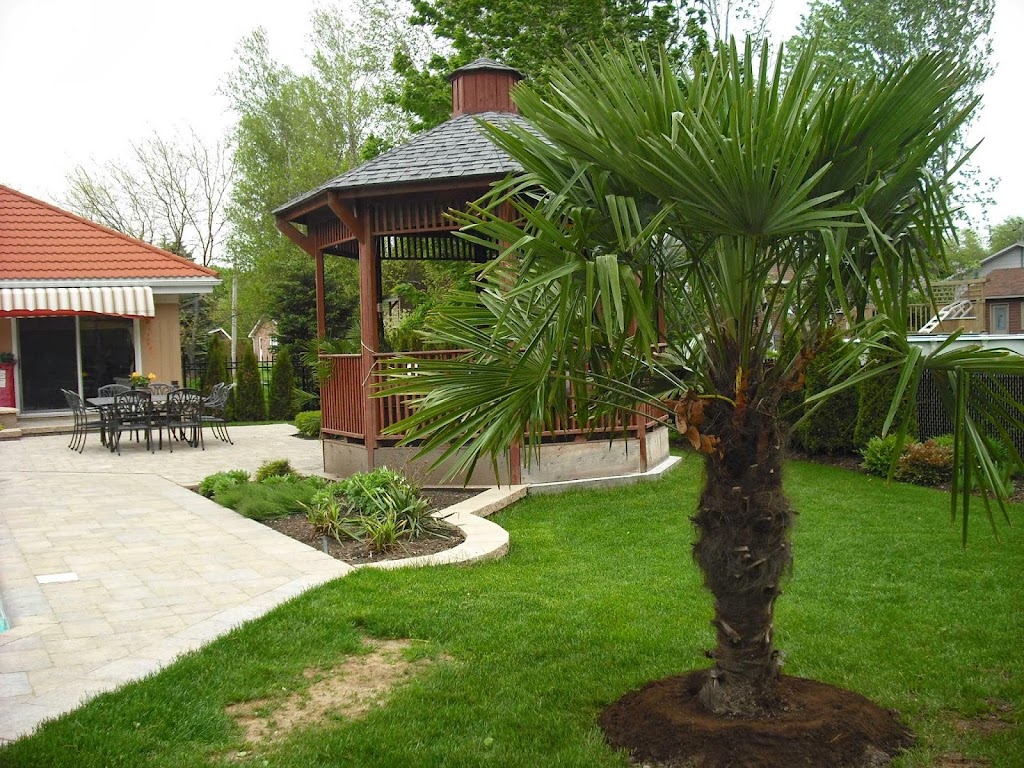 Expression tropicale | 13275 Côte des Anges, Mirabel, QC J7N 2G6, Canada | Phone: (514) 805-5238