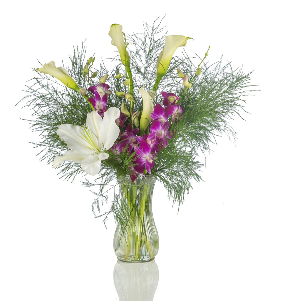 Blooms by Bloy Calgary Head Office | 145 Point Dr NW #1204, Calgary, AB T3B 4W1, Canada | Phone: (403) 819-1205
