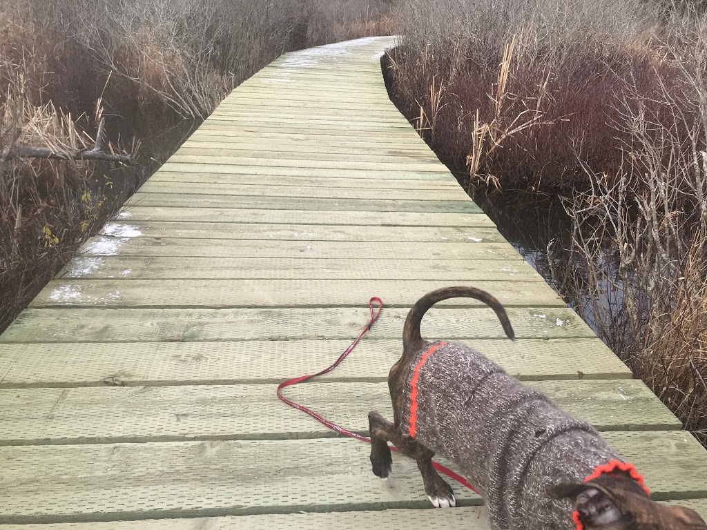 Frog Pond Park | Purcells Cove Rd, Halifax, NS B3P, Canada