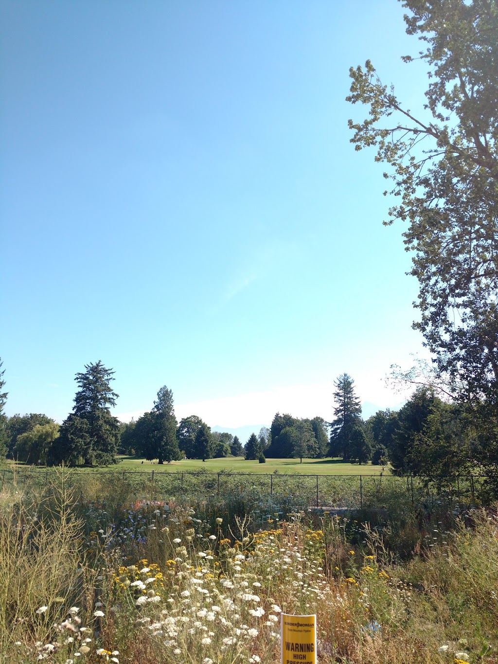Kinkora Golf Course | 46050 Higginson Rd, Chilliwack, BC V2R 2A9, Canada | Phone: (604) 858-8717