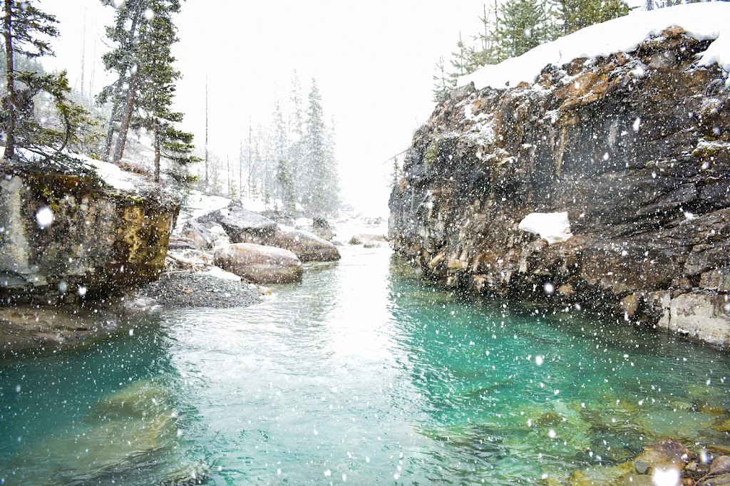 Tim Banfield Photography | 226 Cougarstone Cir SW, Calgary, AB T3H 4W5, Canada | Phone: (587) 216-2371