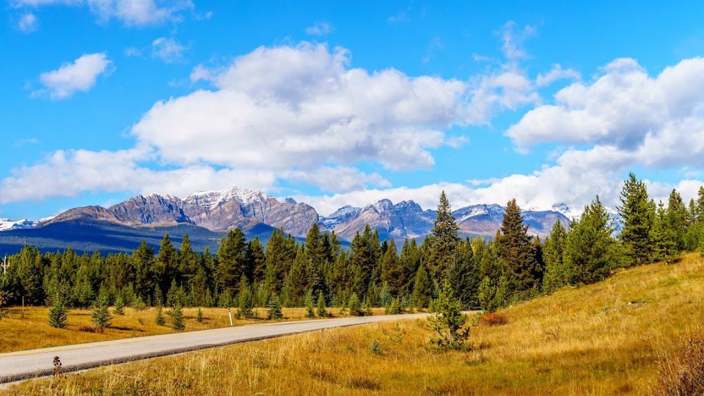 Castle Mountain Chalets | Banff-Windermere Hwy, Improvement District No. 9, AB T1L 1B5, Canada | Phone: (403) 762-3868
