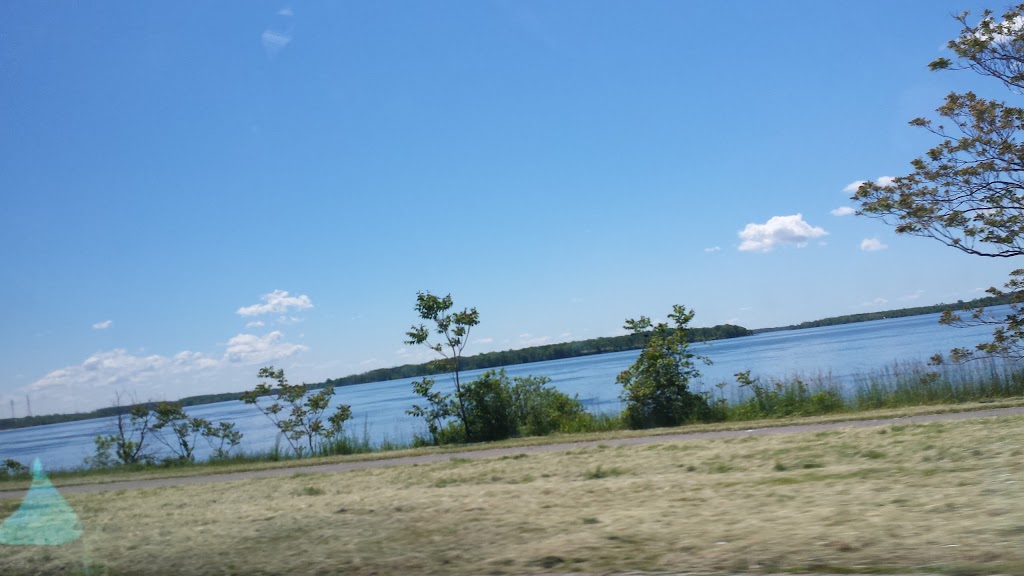 Waterfowl Viewing Area | Niagara Falls, NY 14303, USA