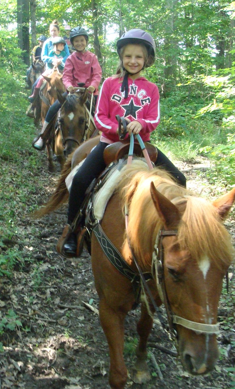 Fox Lair Stables | 843 Concession 1 Rd, Canfield, ON N0A 1C0, Canada | Phone: (905) 774-1373