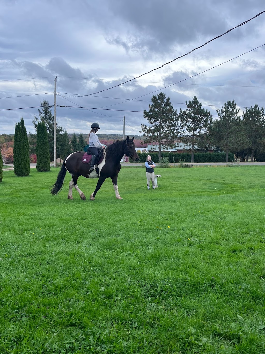 CorLie Equine Adventures and Events | 250 Route 715, Coles Island, NB E4C 2T4, Canada | Phone: (506) 512-1216