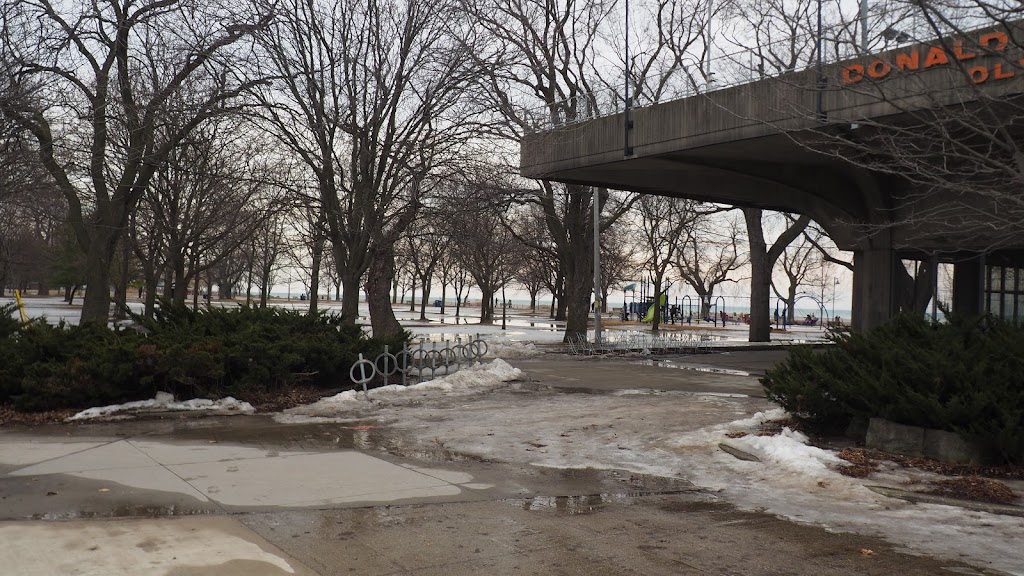 Donald D Summerville Olympic Pool | 1867 Lake Shore Blvd E, Toronto, ON M1P 4N7, Canada | Phone: (416) 392-7688