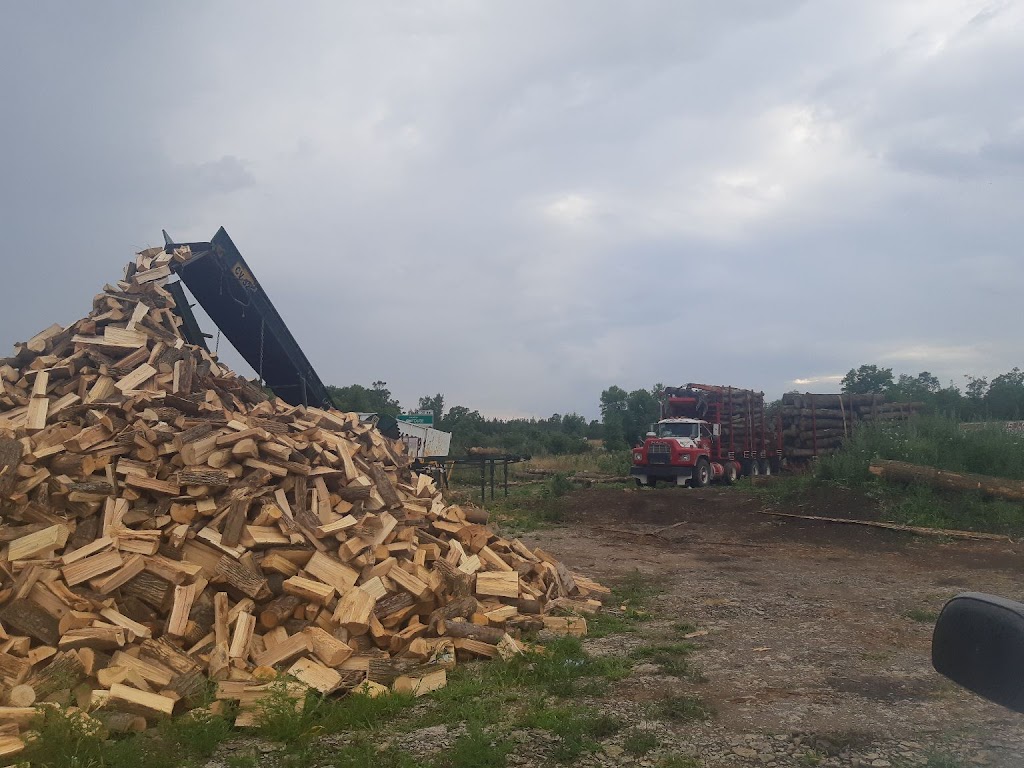 Leclair Forestry Services | Lazier Rd, Belleville, ON K8N 4Z6, Canada | Phone: (888) 917-9663