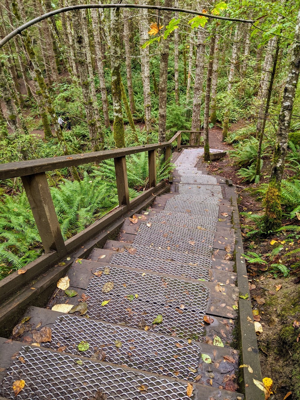 Englishman River Regional Park. / Top Bridge Park,(trail head) | 249 Allsbrook Rd, Parksville, BC V9P 2A8, Canada | Phone: (250) 248-3252