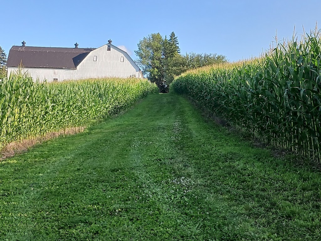 Carlsruhe Retreat | 1313 Sideroad 30 N, Walkerton, ON N0G 2V0, Canada | Phone: (519) 276-8005