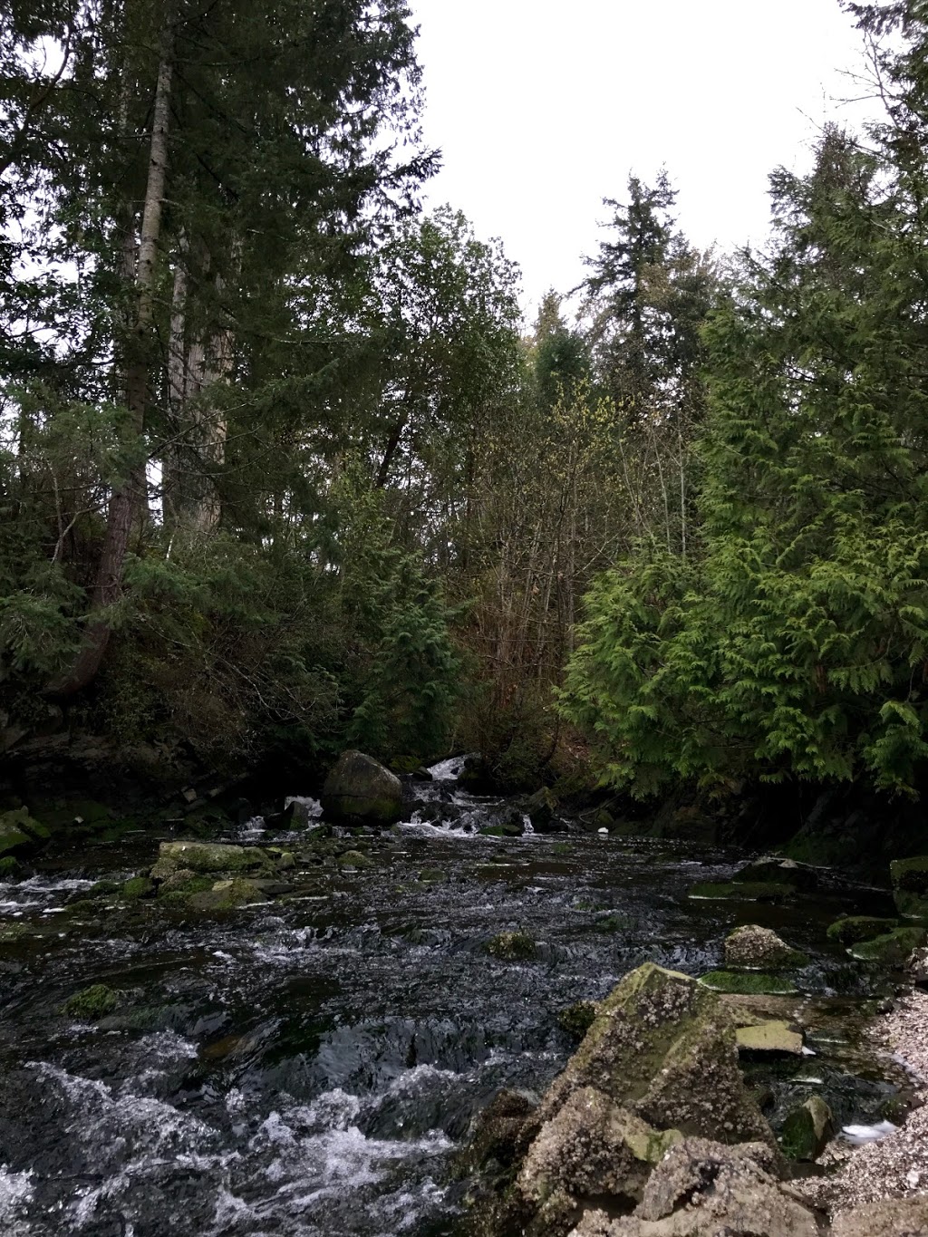Daniel Street Park | Daniel St, Chemainus, BC V0R 1K1, Canada