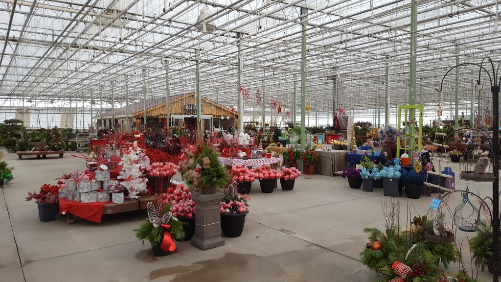 Colour Paradise Greenhouses | 1209 Bleams Rd, Petersburg, ON N0B 2H0, Canada | Phone: (519) 745-0200