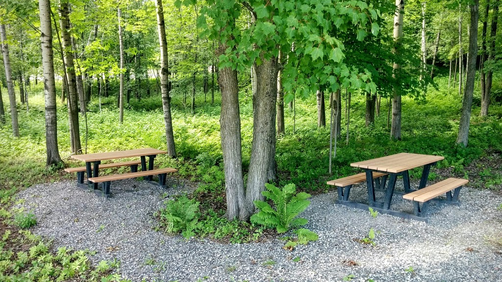 Parc Gouin | 810 Montée du Parc, Richmond, QC J0B 2H0, Canada