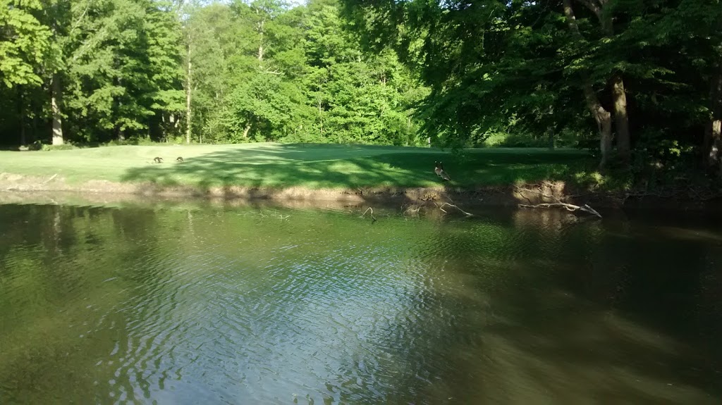 Scenic Woods Golf Club | 185 Golf Club Rd, Hannon, ON L0R 1P0, Canada | Phone: (888) 833-8787