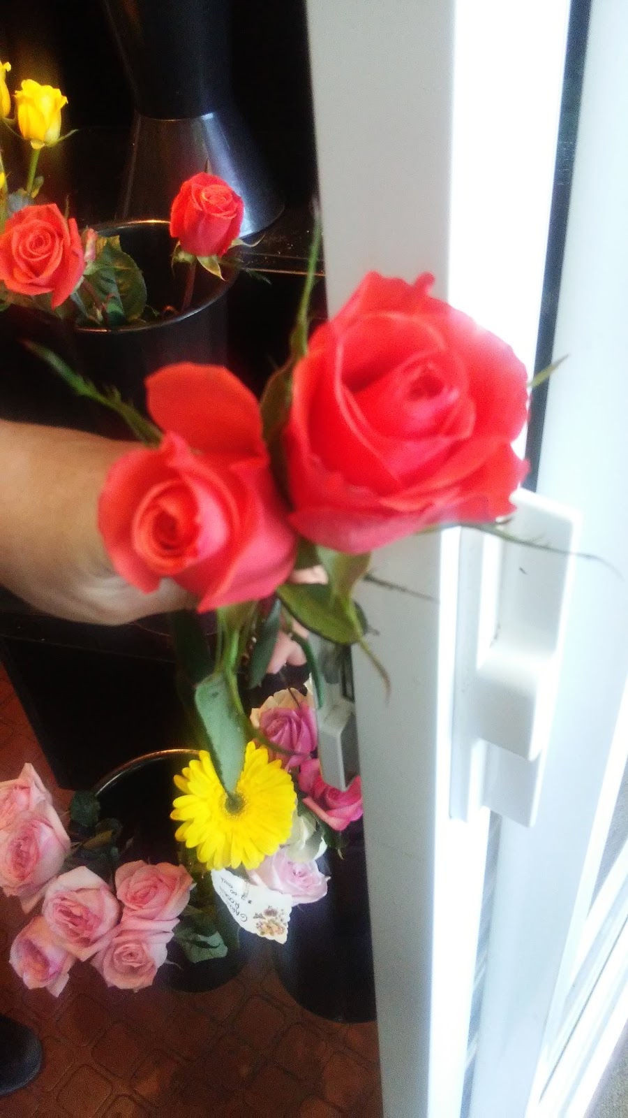 Langdons Flowers Ltd | 1400 Bank St, Ottawa, ON K1H 7Y9, Canada | Phone: (613) 521-4440