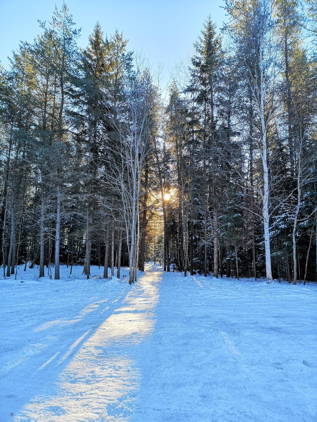 Adventure Four Seasons | 4781 Chemin de la Rivière N, Rivière-Rouge, QC J0T 1T0, Canada | Phone: (514) 554-5091