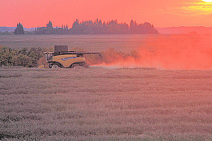 Delage Farms Ltd. | Indian Head, SK S0G 2K0, Canada | Phone: (306) 695-3959