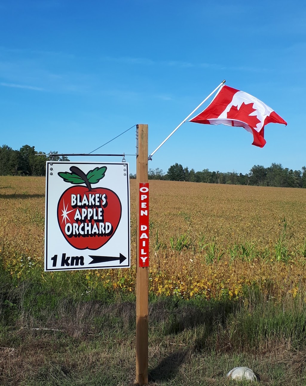 Blakes Apple Orchard | 42933 St Michaels Rd, Brussels, ON N0G 1H0, Canada | Phone: (519) 887-6972