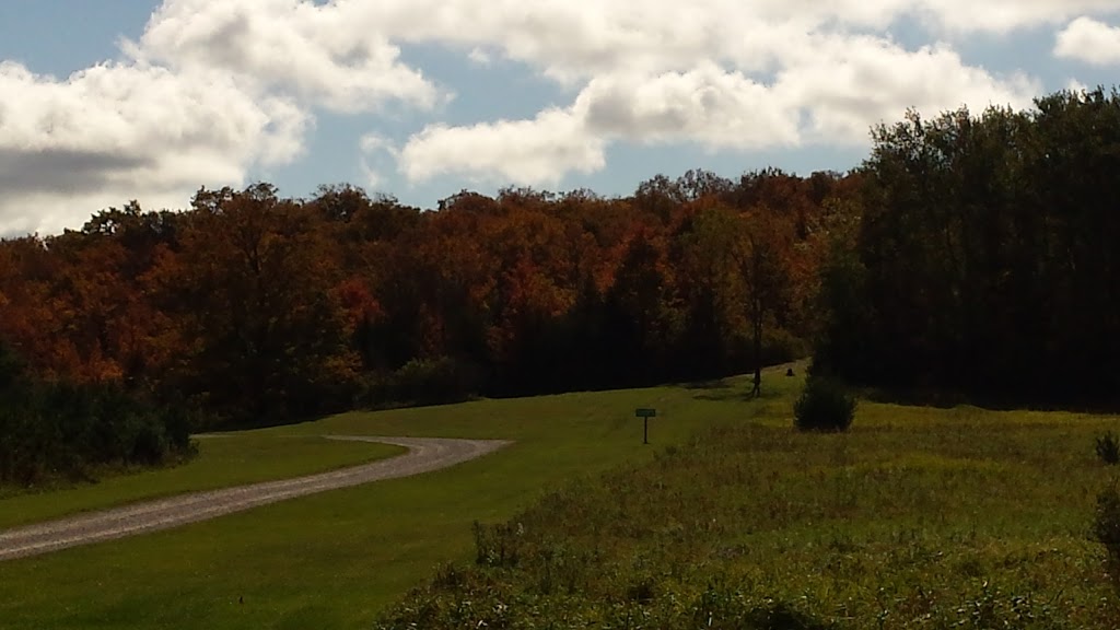 Ziontario Campgrounds | 344516 N Line, Priceville, ON N0C 1K0, Canada