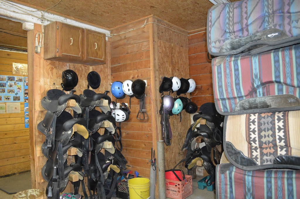 Equestrian Center Belle Rivière | 1463 Rang de la Belle-Rivière, Sainte-Julie, QC J3E 1Y2, Canada | Phone: (450) 922-2714