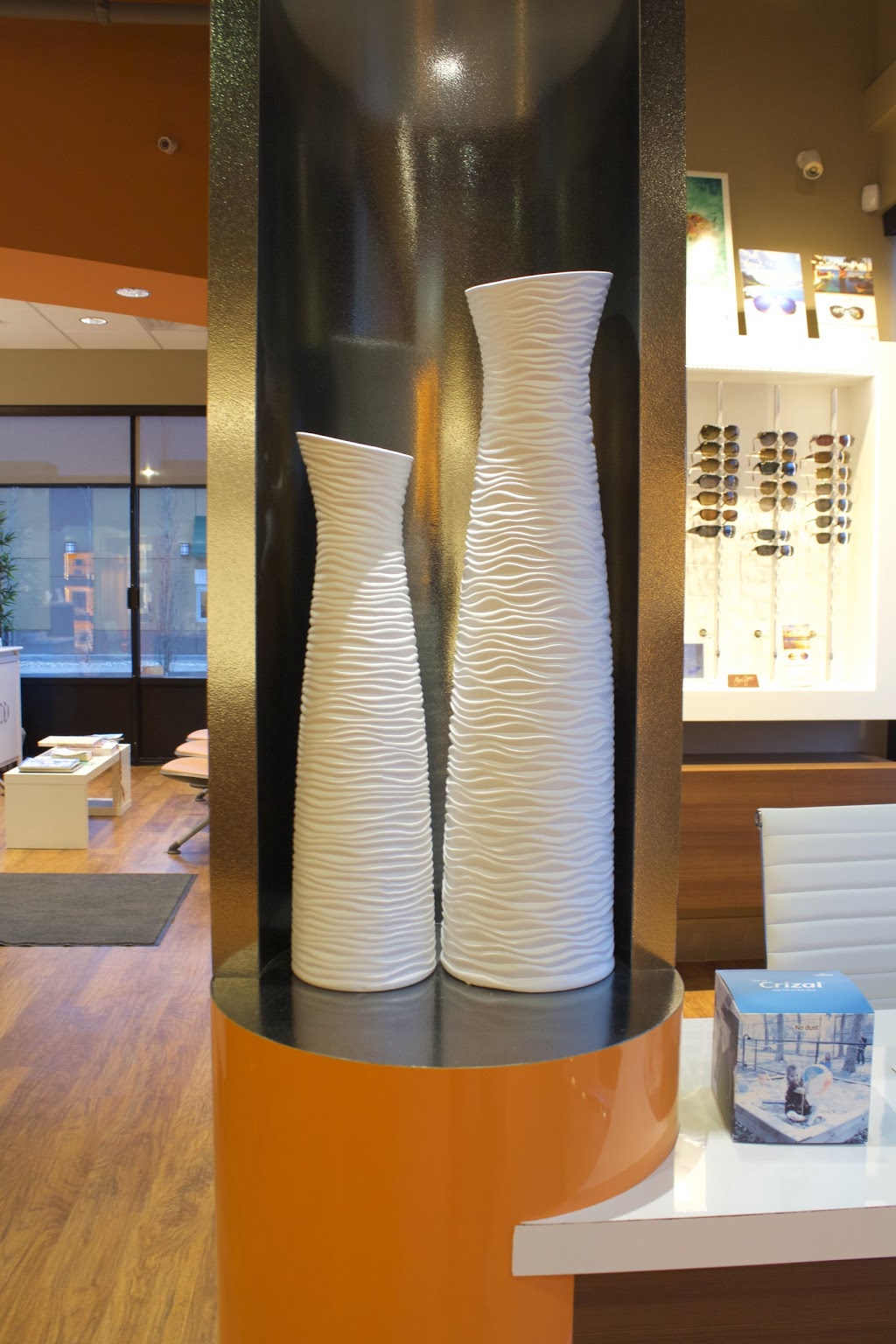 The Vision Gallery | 4931 167 Ave NW, Edmonton, AB T5Y 0S4, Canada | Phone: (780) 705-2015