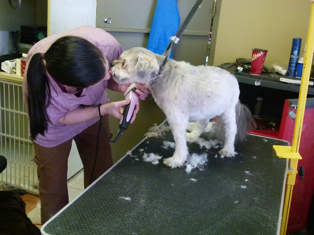 Bridlewood Veterinary Clinic | 26-17107 james McKevitt Rd SW, Calgary, AB T2Y 3Y4, Canada | Phone: (403) 201-6427