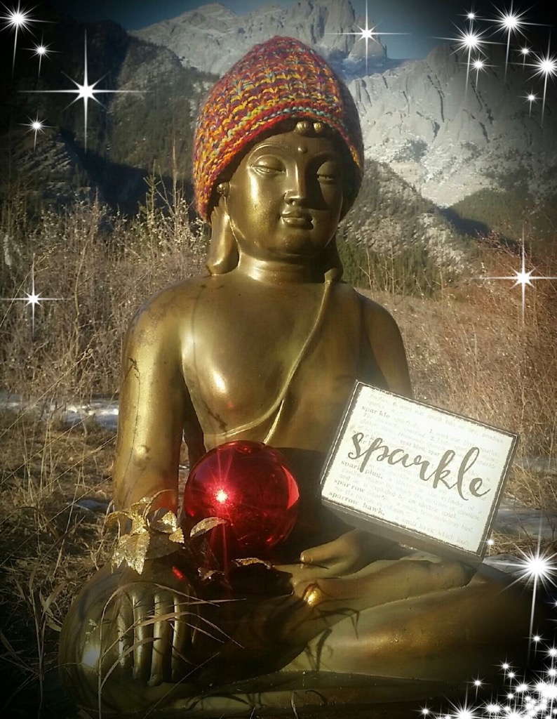 Wholistix -- Natural Wellness Shoppe | 2085 50 Ave Unit B, Red Deer, AB T4R 1Z4, Canada | Phone: (403) 346-3393