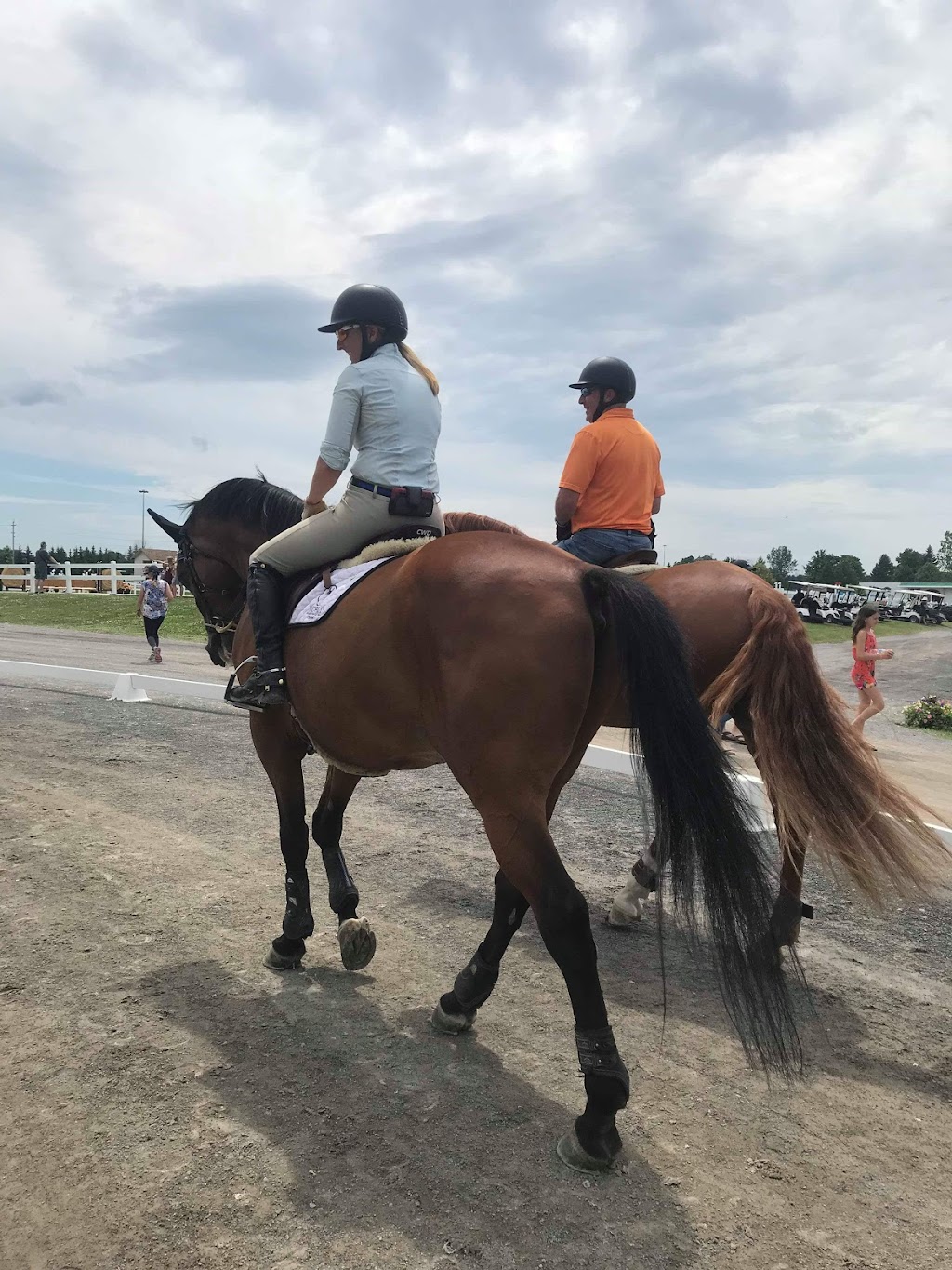 Deerfield Equestrian Farm | 4148 Larry Robinson Rd, Russell, ON K4R 0J8, Canada | Phone: (613) 821-0426