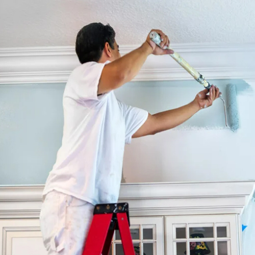 Oikos Painting Calgary | 221 Cornerbrook Common NE, Calgary, AB T3N 1A9, Canada | Phone: (403) 923-9359