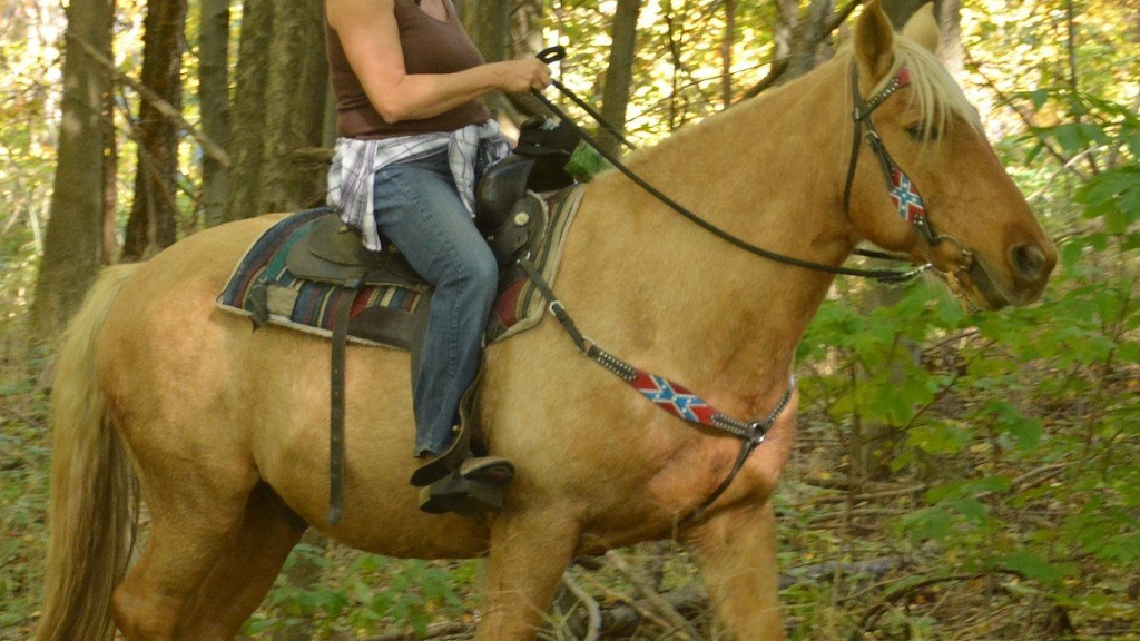 Darkin Riding Stables | 6253 Brown Rd, Port Burwell, ON N0J 1T0, Canada | Phone: (519) 280-1819