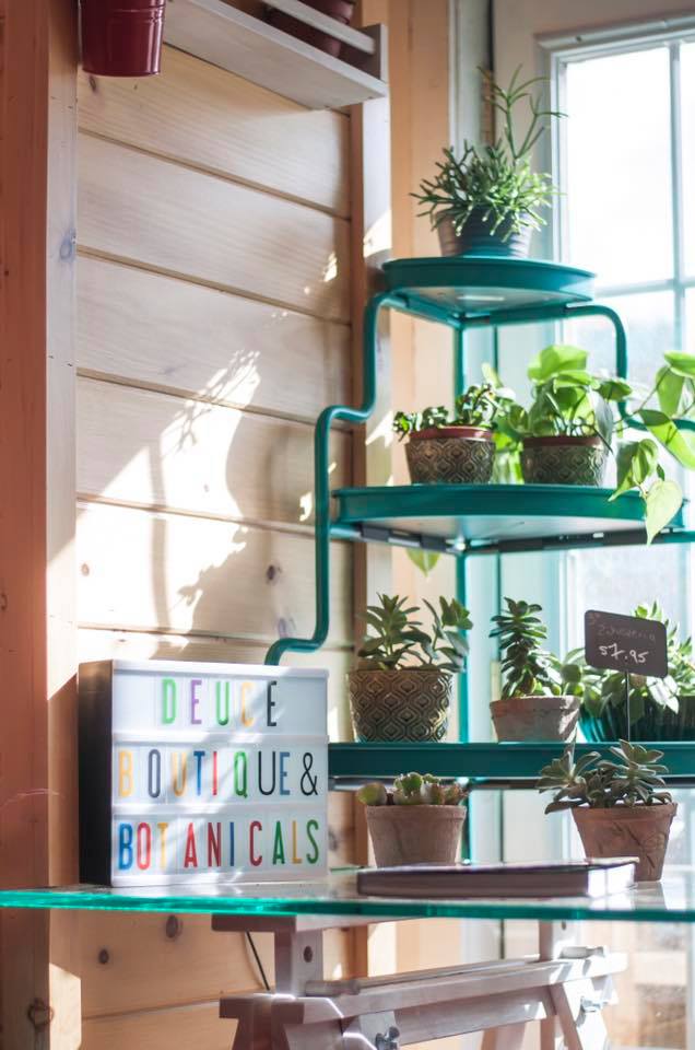Deuce Boutique & Botanicals | 221 Hastings St N, Bancroft, ON K0L, Canada, Canada | Phone: (613) 332-3333