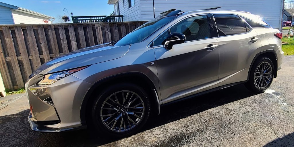 Show Shine Detailing Auto Spa | 3482 Dominion Rd, Ridgeway, ON L0S 1N0, Canada | Phone: (905) 351-0377