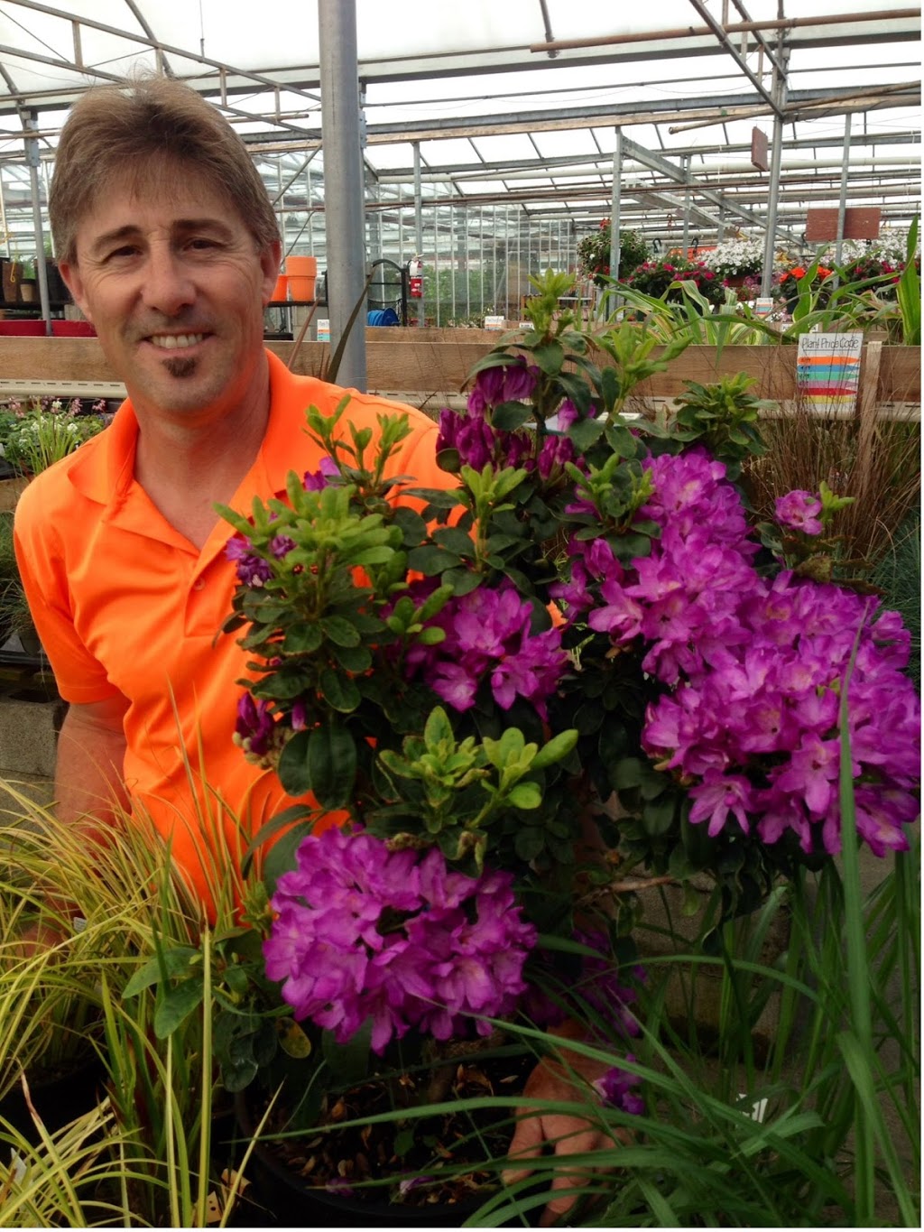 Amsterdam Greenhouses & Garden Centre | 19100 Old Dewdney Trunk Rd, Pitt Meadows, BC V3Y 2R8, Canada | Phone: (604) 465-6614
