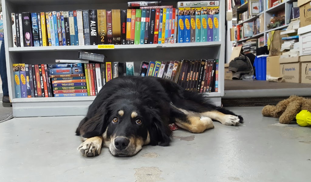 Fair’s Fair Books | 907 9 Ave SE, Calgary, AB T2G 0S5, Canada | Phone: (403) 237-8156