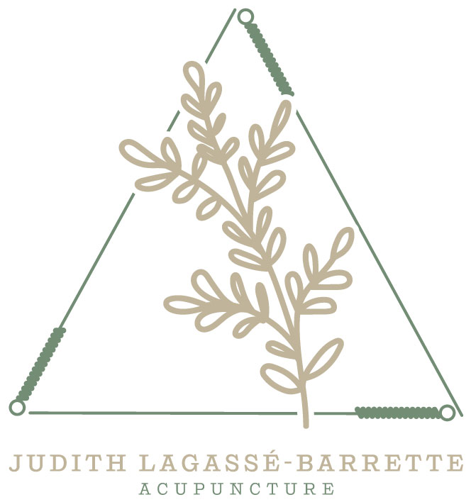 Judith Lagassé-Barrette acupuncture | 2911 Ch Sainte-Marie, Mascouche, QC J7K 1N6, Canada | Phone: (514) 293-8782