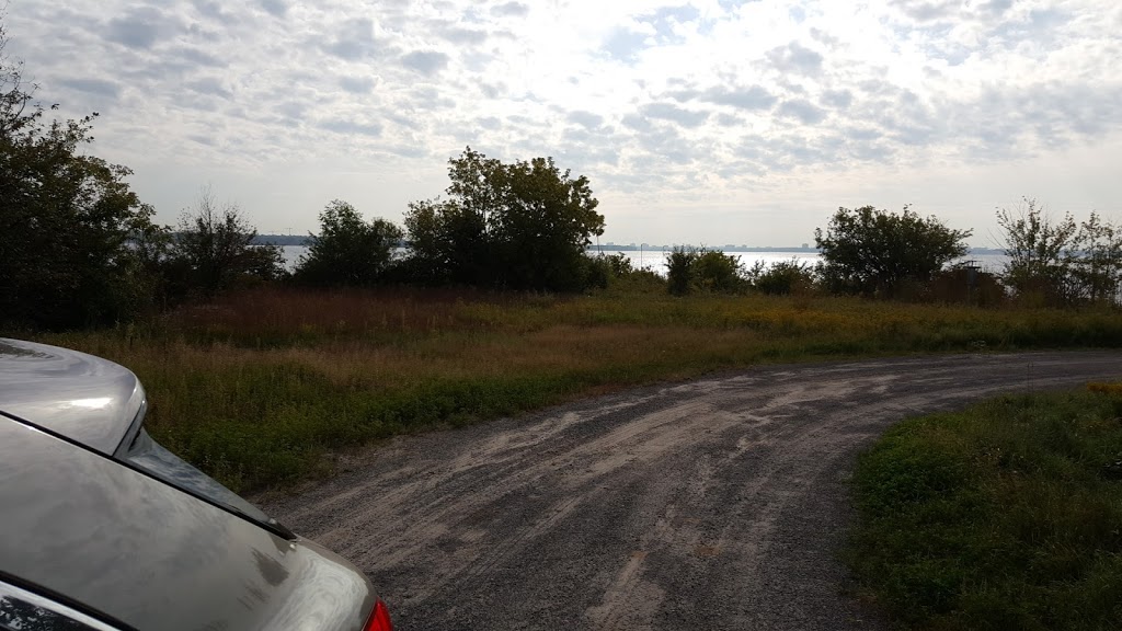 Innis Point Bird Observatory | Letson Rd, Ottawa, ON K0A 1T0, Canada