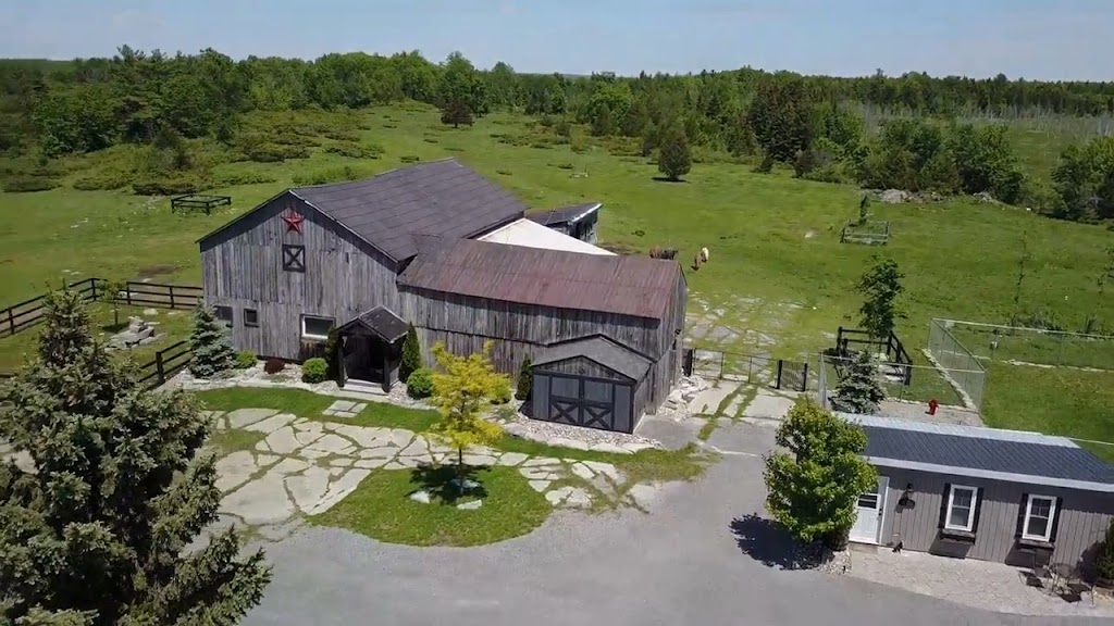 The Bonehouse B&B | 190 Wilson Rd, Yarker, ON K0K 3N0, Canada | Phone: (416) 889-6537