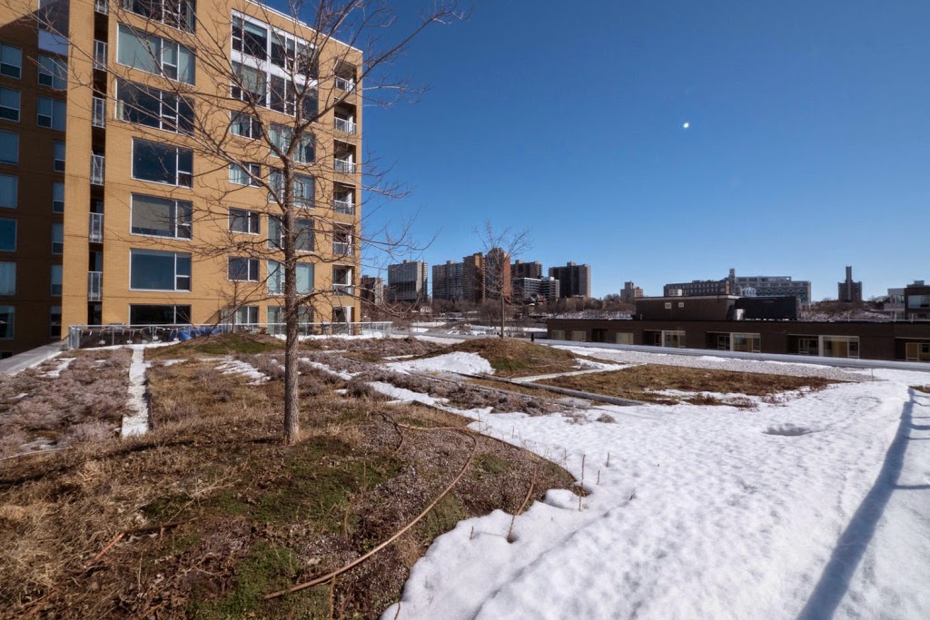 Sorin Vaduva | 80 Bowhill Ave, Nepean, ON K2E 6S7, Canada | Phone: (613) 262-9562