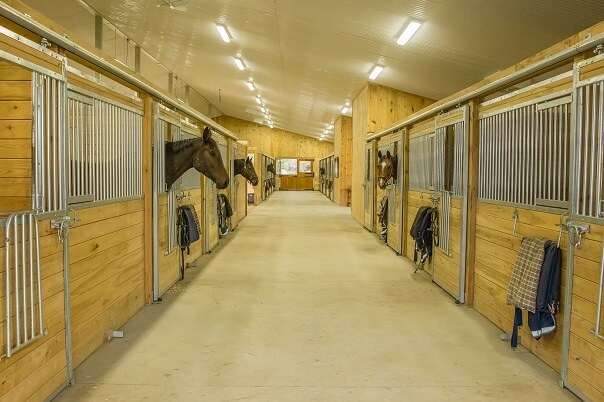 AA Equestrian | 6490 Guelph Line, Burlington, ON L7P 0A9, Canada | Phone: (905) 702-4064