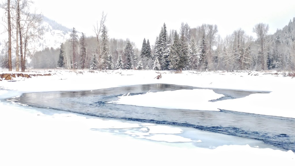 Crows Nest Photography | 11650 Brown Creek Rd, Grand Forks, BC V0H 1H8, Canada | Phone: (250) 442-4285