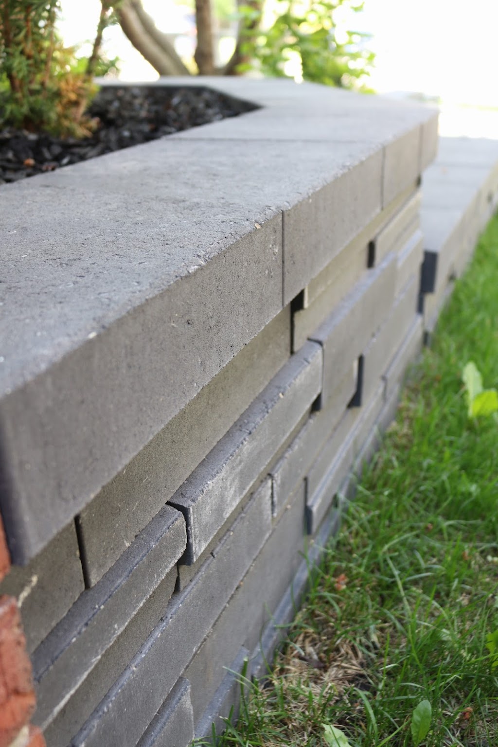 Tree Amigo Custom Landscaping | 51 Beacham Way NW, Calgary, AB T3K 1R7, Canada | Phone: (403) 690-8456