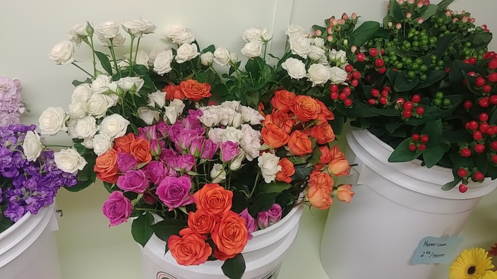 Grower Direct- Thunder Bay | 777 Red River Rd, Thunder Bay, ON P7B 1J7, Canada | Phone: (807) 475-7673