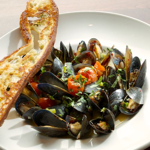 Catch of the Week | 5036 106 Ave NW, Edmonton, AB T6A 1E9, Canada | Phone: (780) 705-8299
