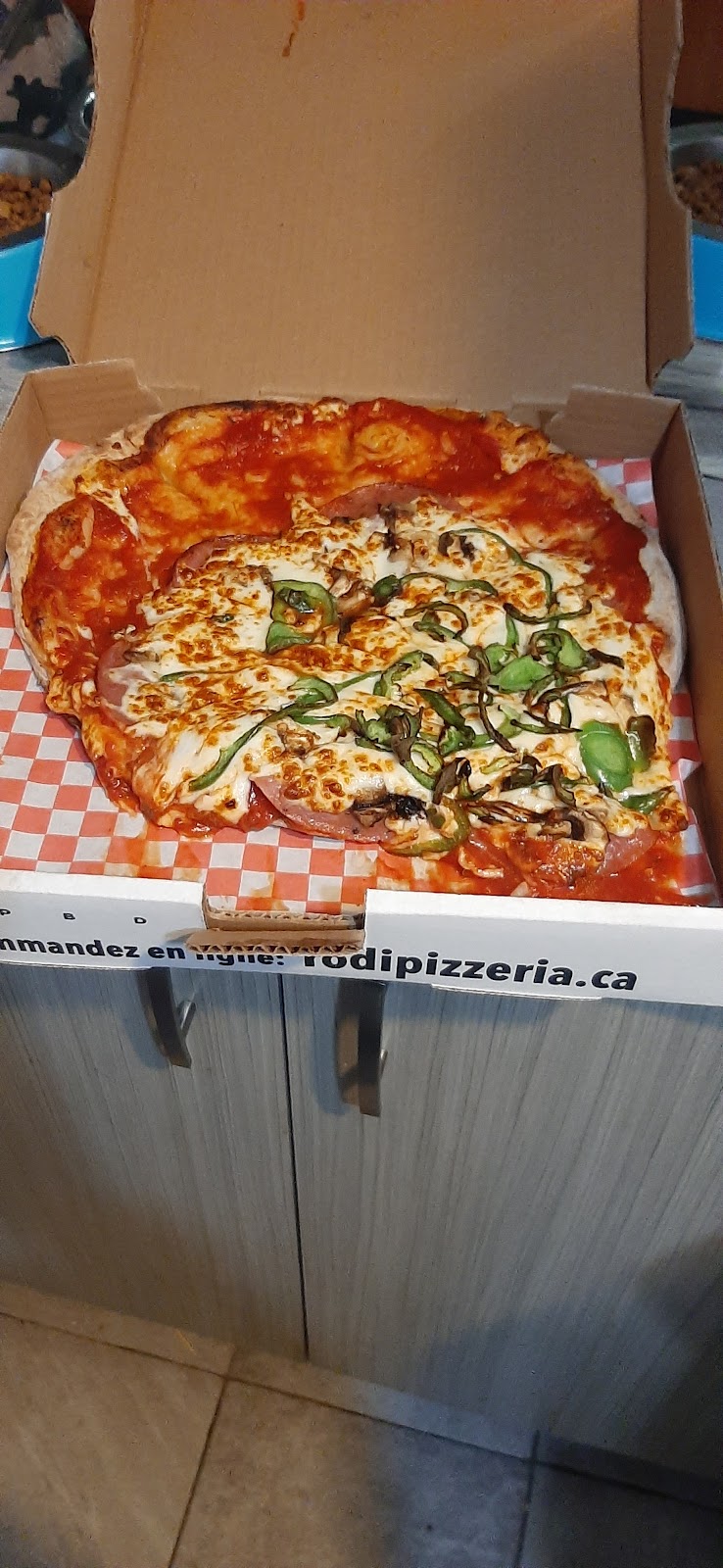 Pizza Rodi la Baie | 1220 Av. du Port, La Baie, QC G7B 1W4, Canada | Phone: (418) 693-6693